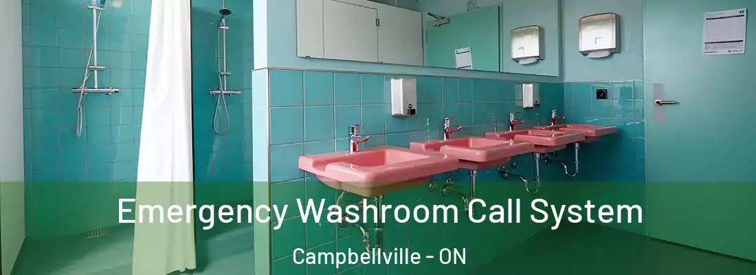  Emergency Washroom Call System Campbellville - ON