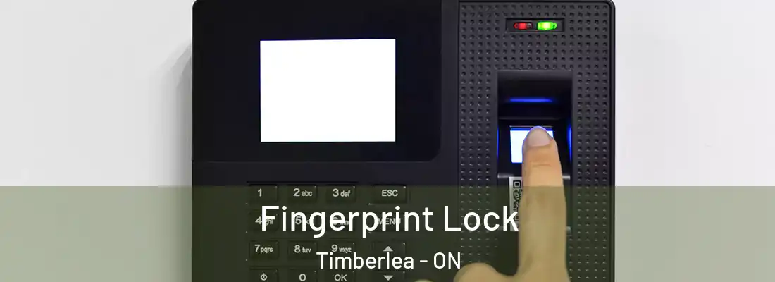 Fingerprint Lock Timberlea - ON
