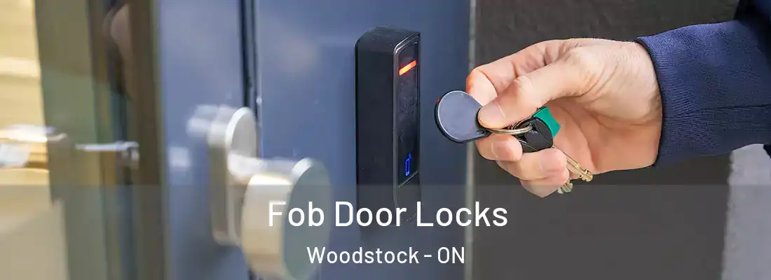  Fob Door Locks Woodstock - ON