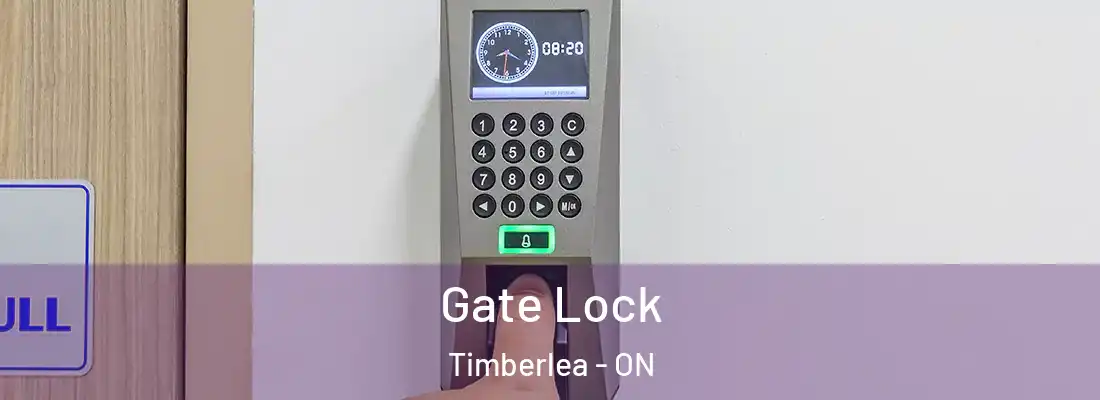  Gate Lock Timberlea - ON