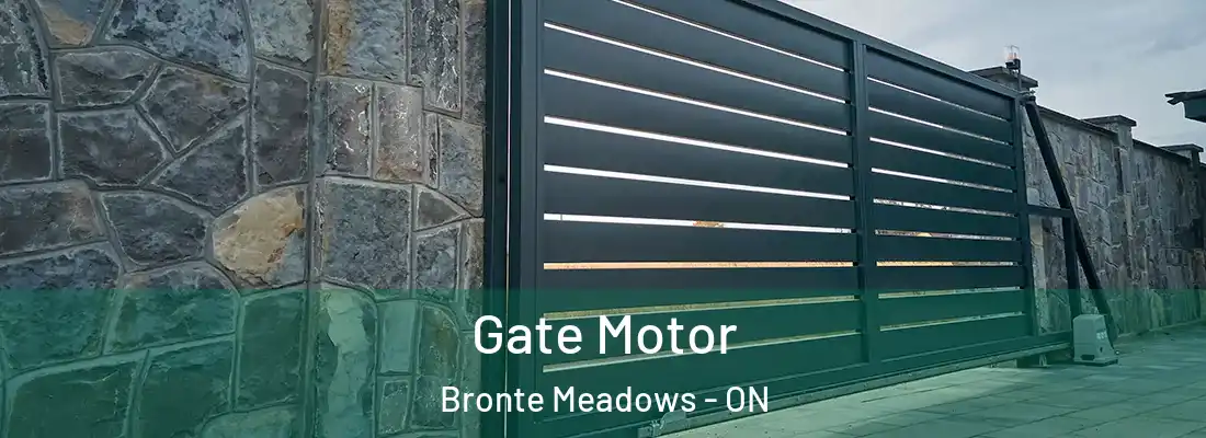  Gate Motor Bronte Meadows - ON