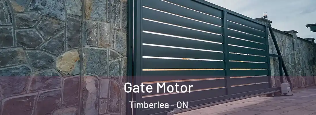  Gate Motor Timberlea - ON