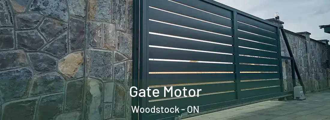  Gate Motor Woodstock - ON