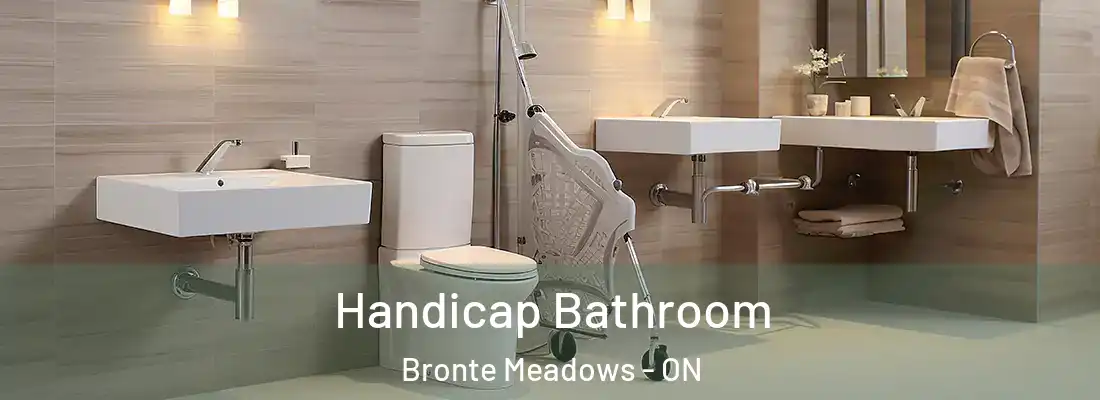  Handicap Bathroom Bronte Meadows - ON