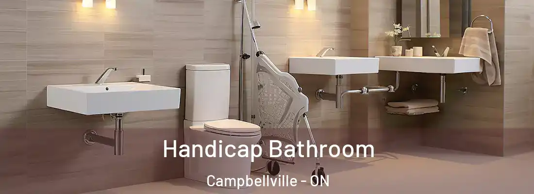  Handicap Bathroom Campbellville - ON