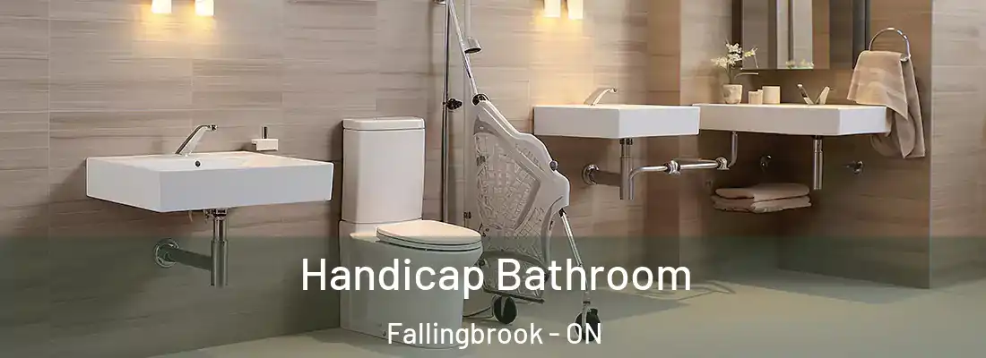  Handicap Bathroom Fallingbrook - ON