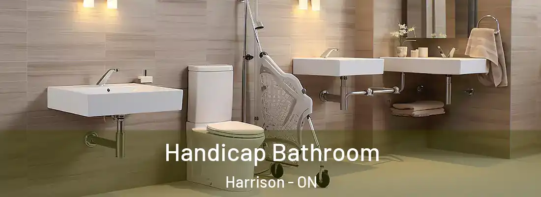  Handicap Bathroom Harrison - ON