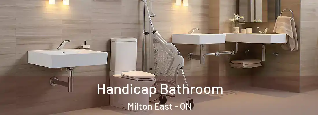  Handicap Bathroom Milton East - ON