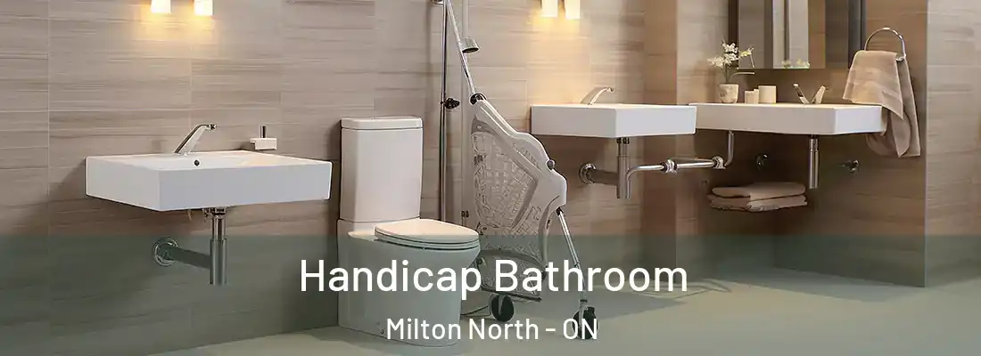  Handicap Bathroom Milton North - ON