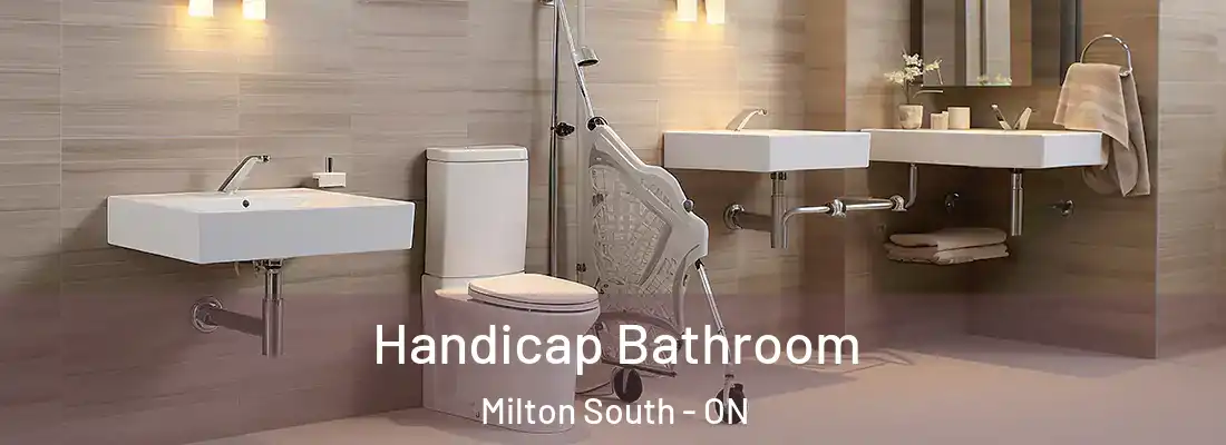  Handicap Bathroom Milton South - ON