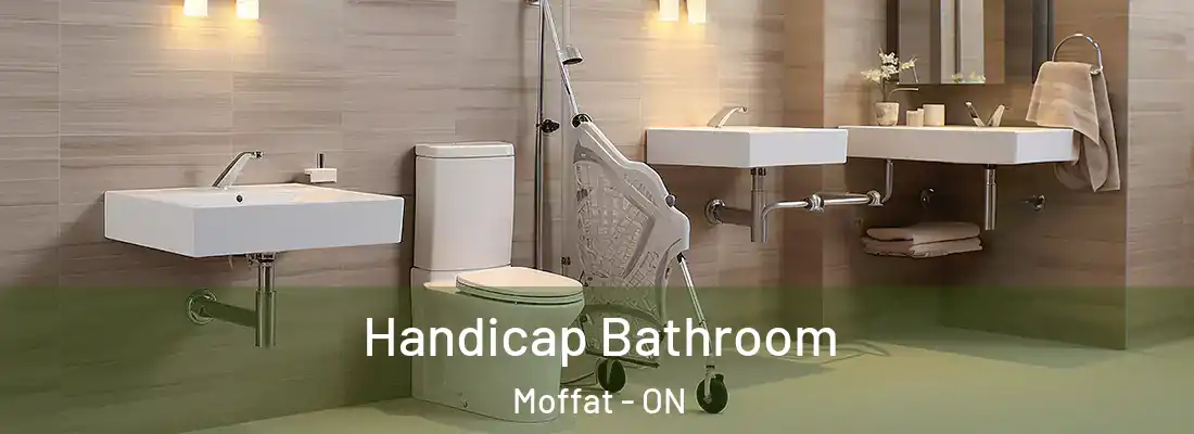  Handicap Bathroom Moffat - ON