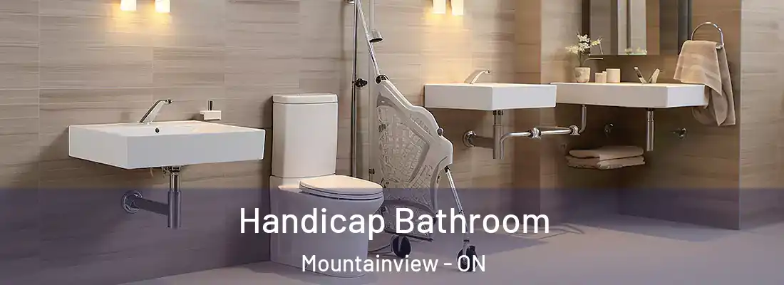  Handicap Bathroom Mountainview - ON