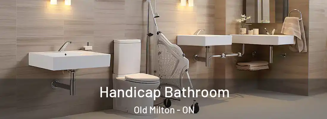  Handicap Bathroom Old Milton - ON