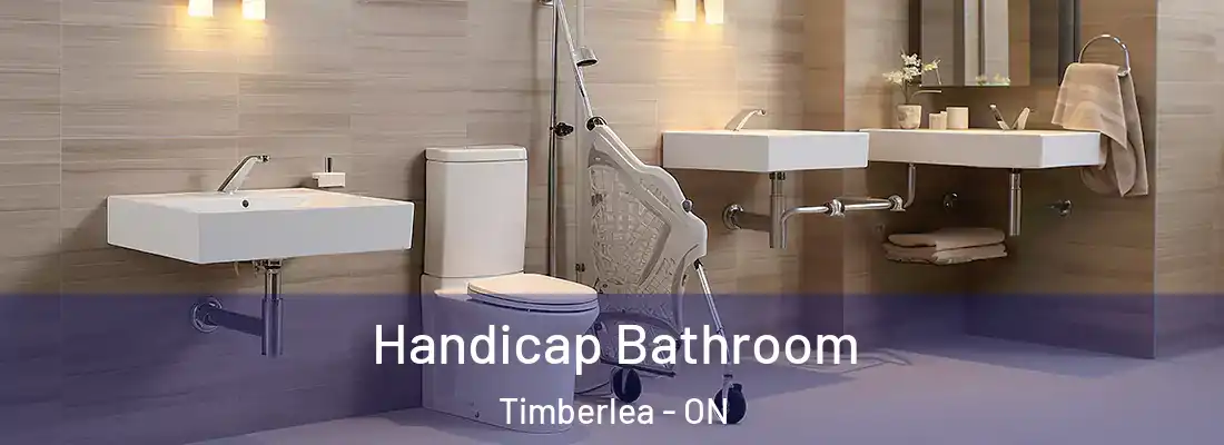  Handicap Bathroom Timberlea - ON