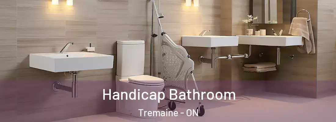  Handicap Bathroom Tremaine - ON