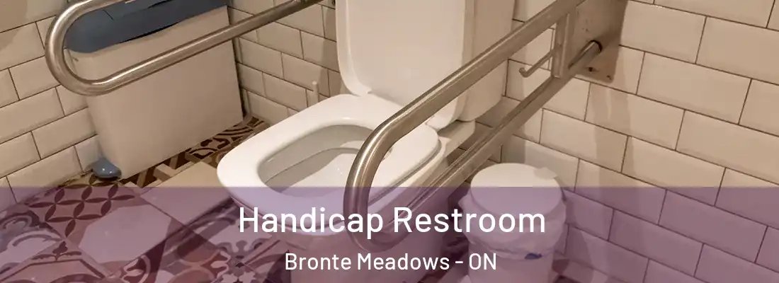  Handicap Restroom Bronte Meadows - ON