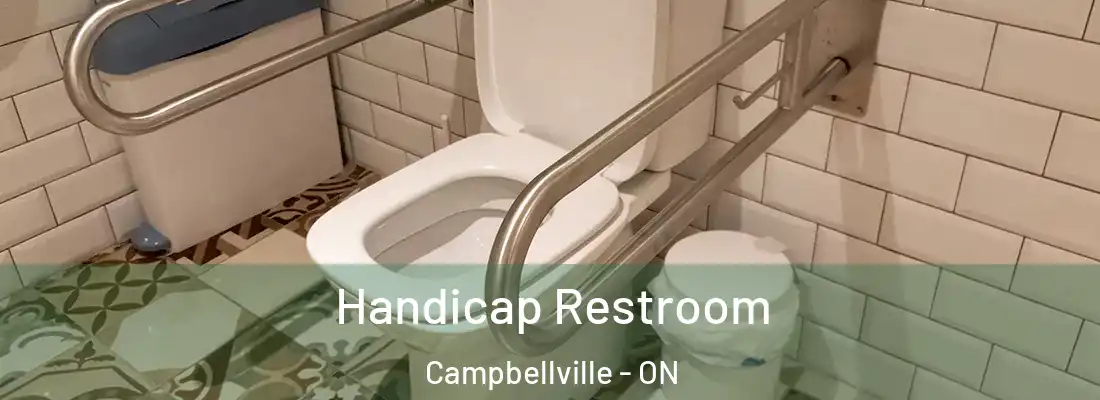  Handicap Restroom Campbellville - ON