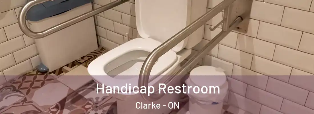  Handicap Restroom Clarke - ON