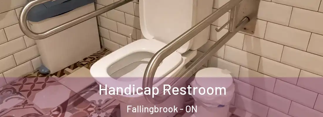  Handicap Restroom Fallingbrook - ON