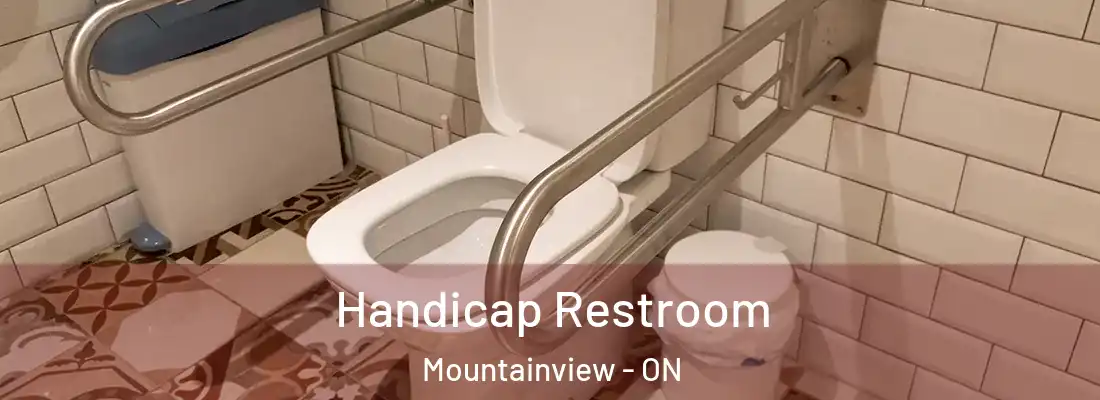  Handicap Restroom Mountainview - ON