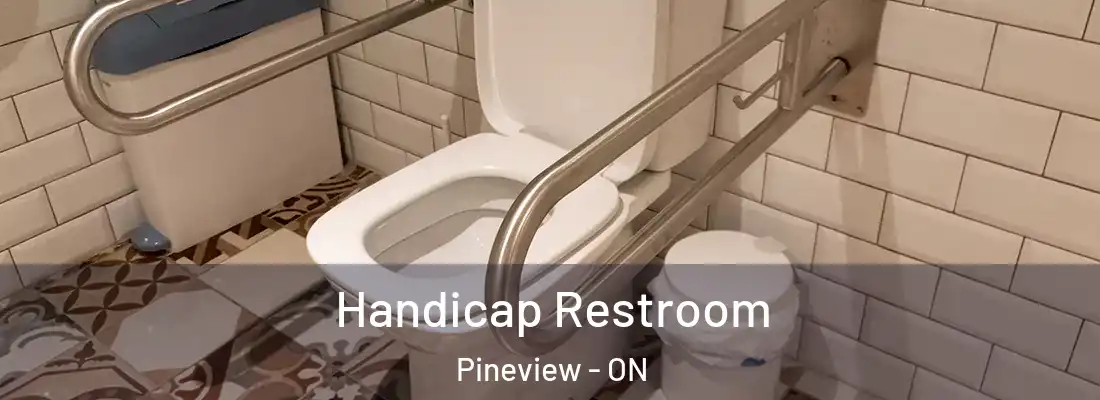  Handicap Restroom Pineview - ON