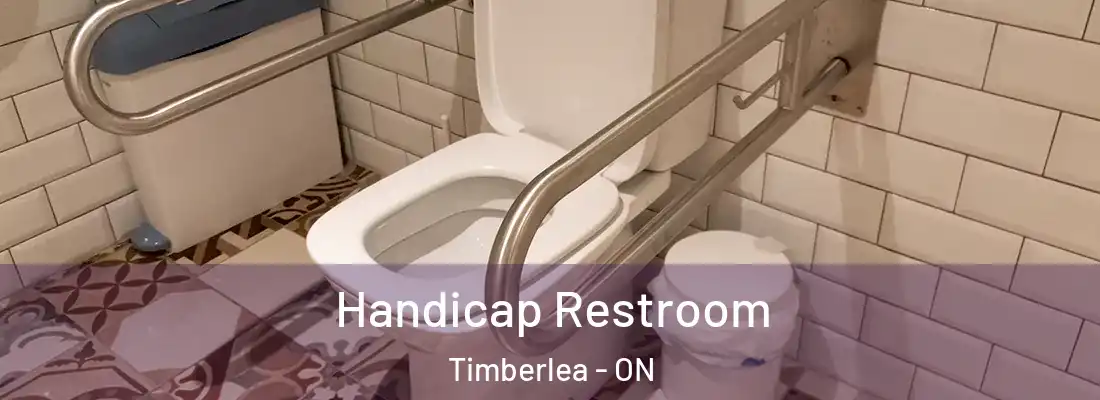  Handicap Restroom Timberlea - ON