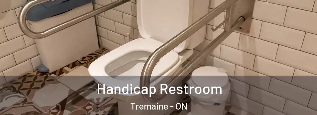 Handicap Restroom Tremaine - ON
