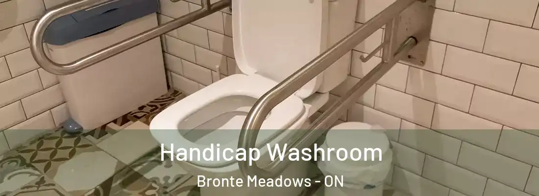  Handicap Washroom Bronte Meadows - ON