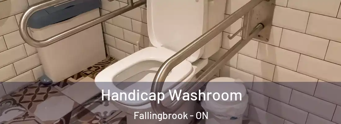  Handicap Washroom Fallingbrook - ON