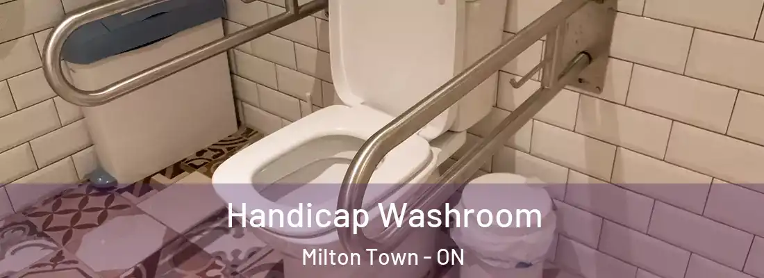  Handicap Washroom Milton Town - ON