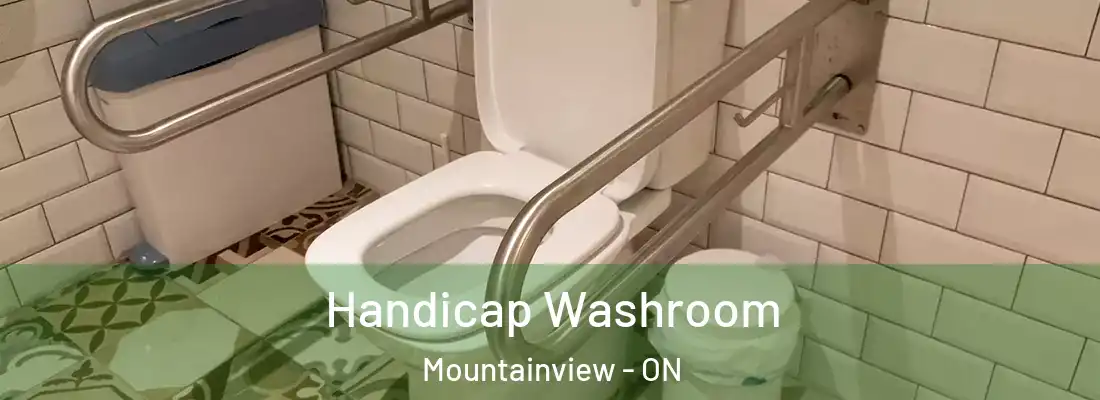  Handicap Washroom Mountainview - ON