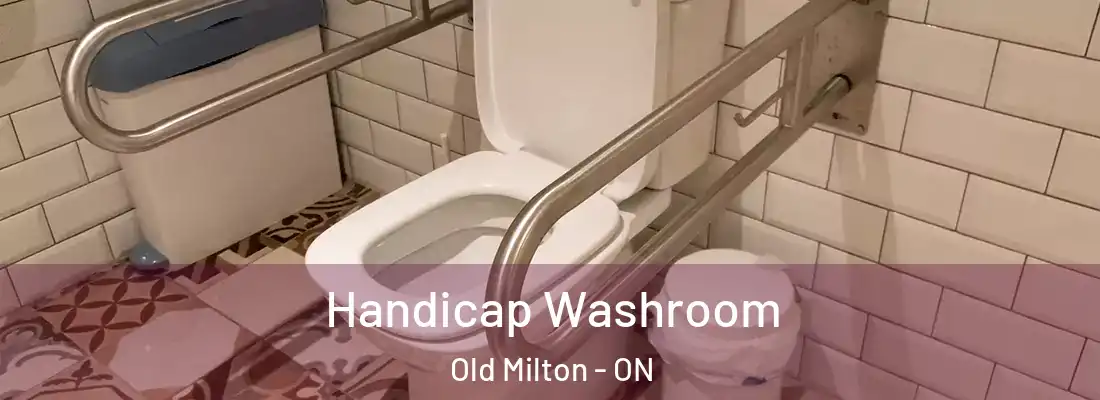  Handicap Washroom Old Milton - ON