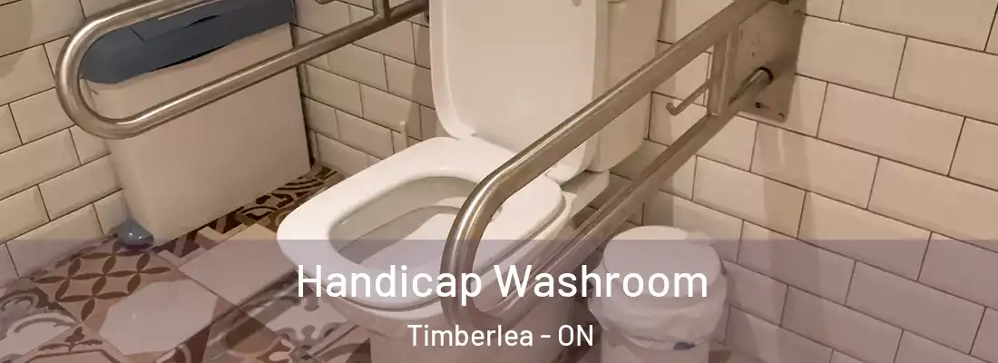  Handicap Washroom Timberlea - ON