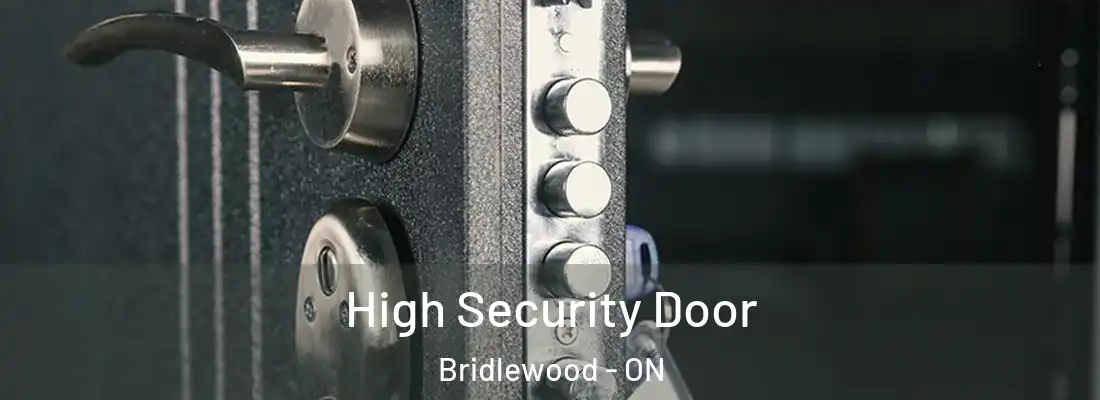  High Security Door Bridlewood - ON