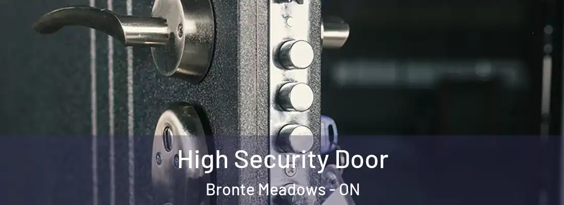  High Security Door Bronte Meadows - ON
