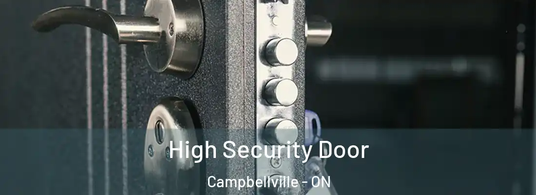  High Security Door Campbellville - ON
