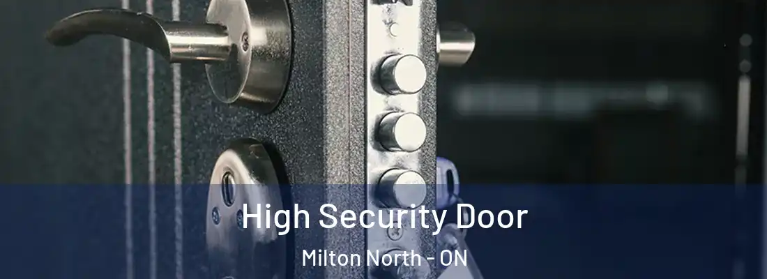  High Security Door Milton North - ON
