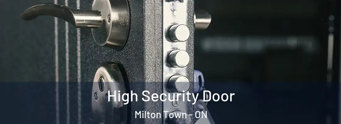  High Security Door Milton Town - ON