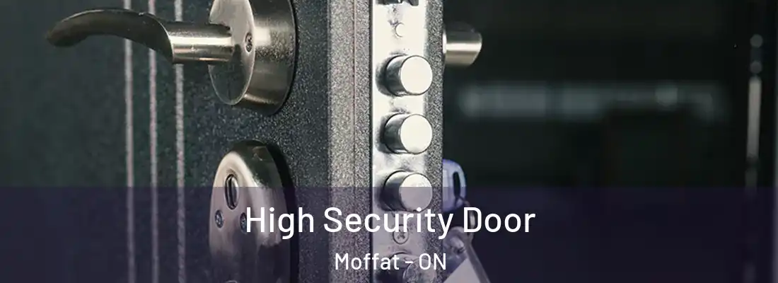  High Security Door Moffat - ON