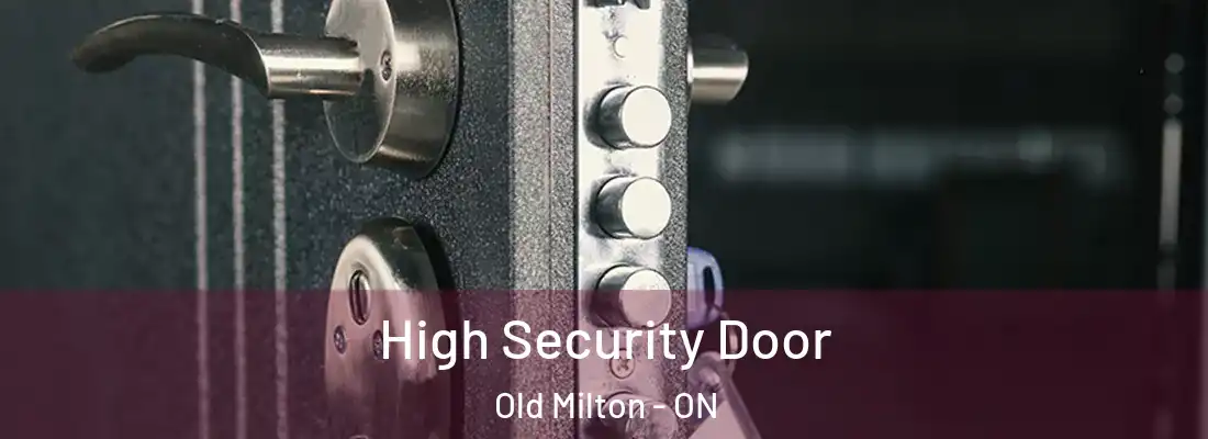  High Security Door Old Milton - ON