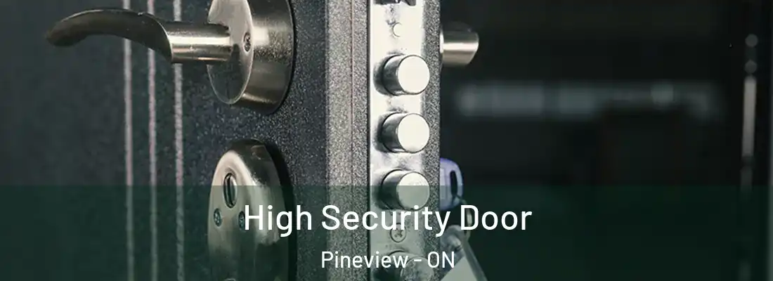  High Security Door Pineview - ON