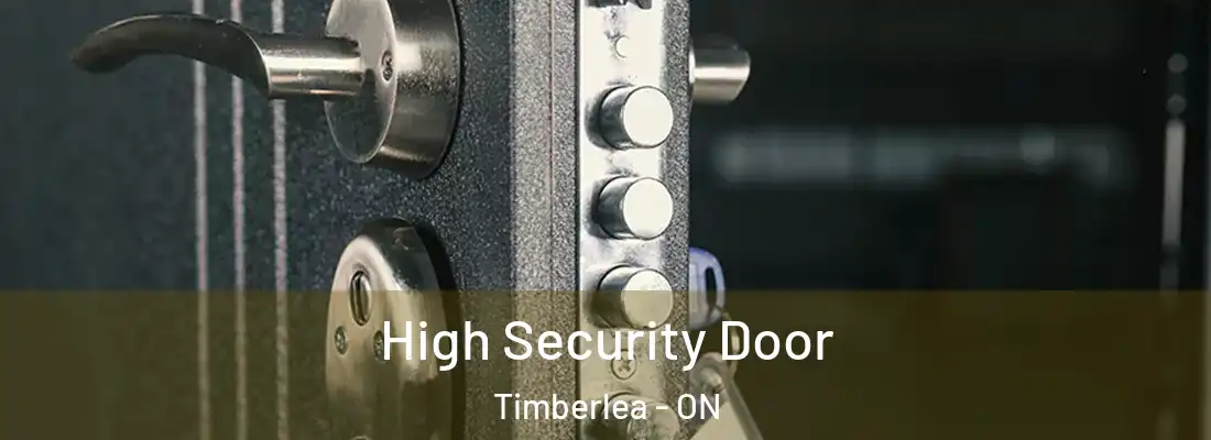  High Security Door Timberlea - ON