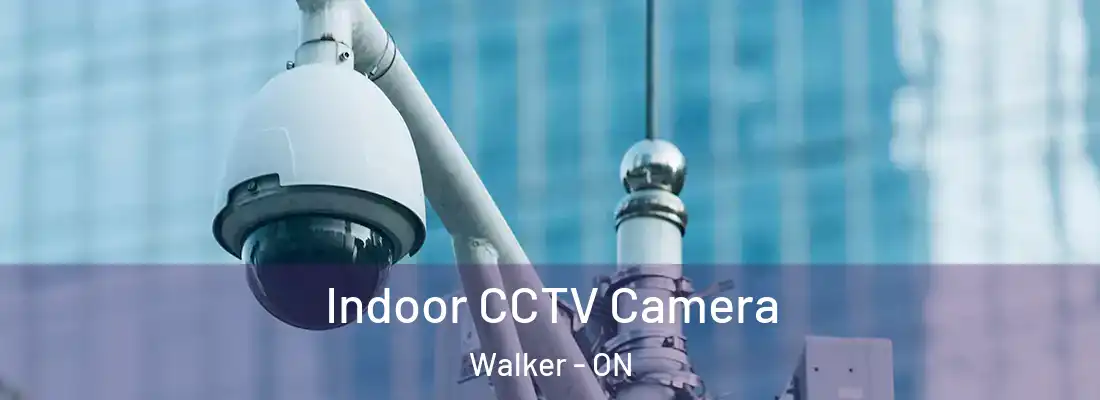  Indoor CCTV Camera Walker - ON