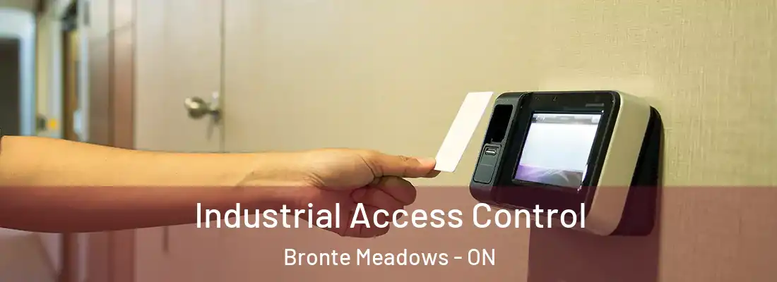  Industrial Access Control Bronte Meadows - ON