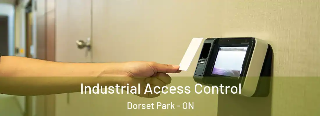  Industrial Access Control Dorset Park - ON