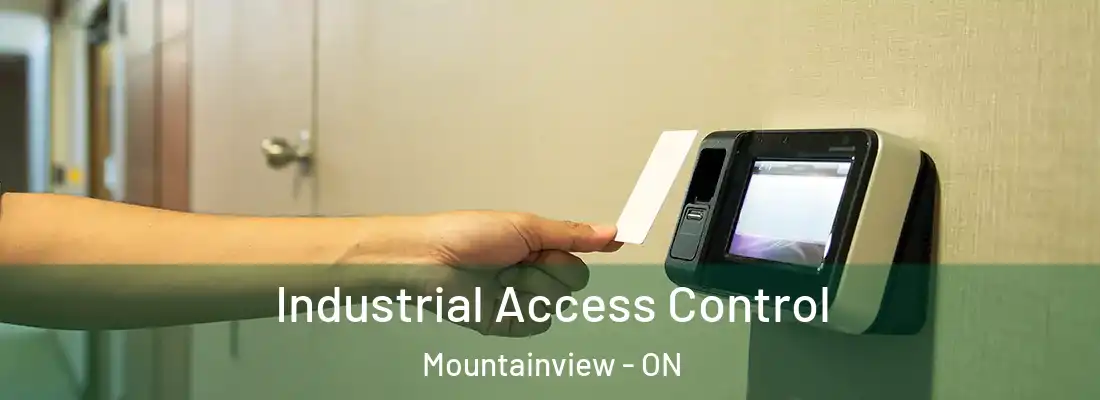  Industrial Access Control Mountainview - ON