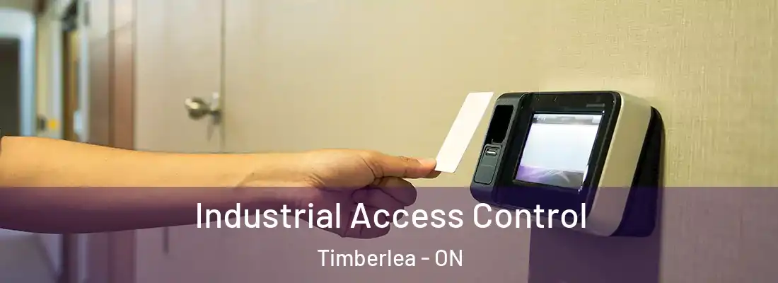  Industrial Access Control Timberlea - ON