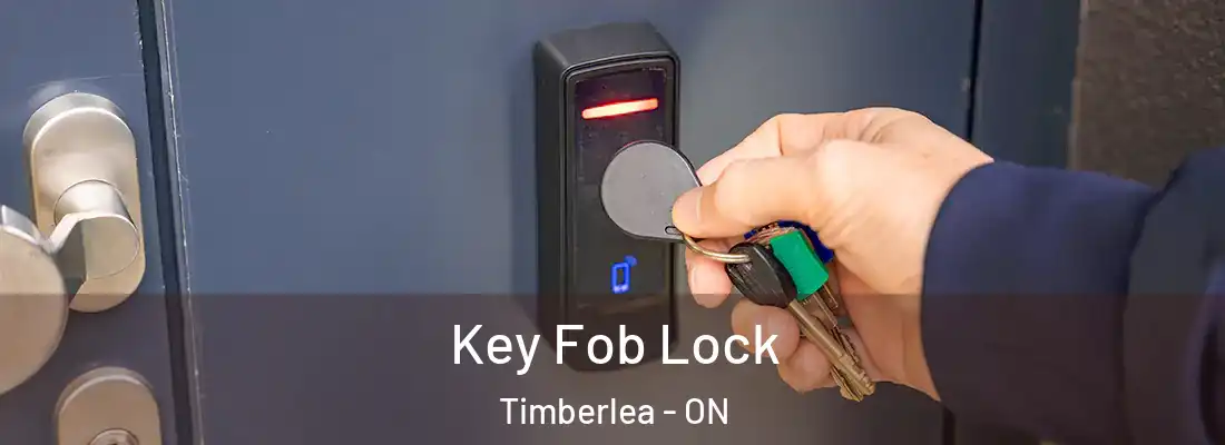  Key Fob Lock Timberlea - ON