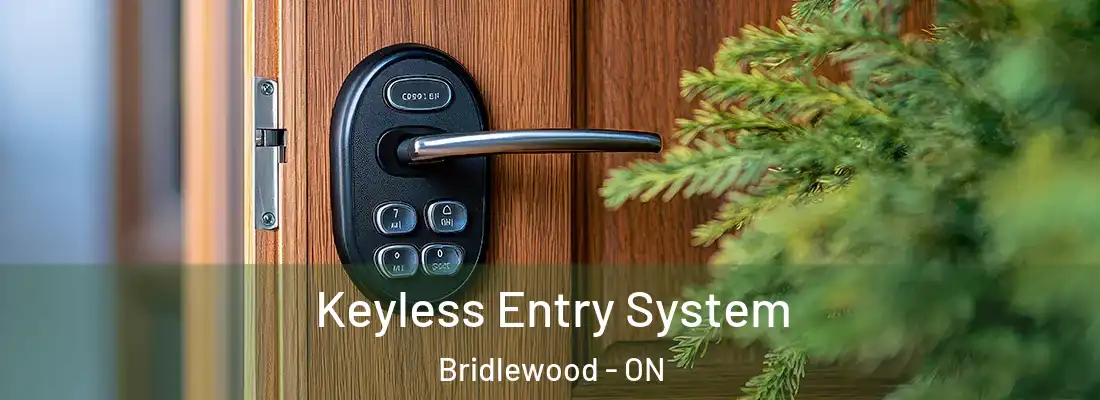  Keyless Entry System Bridlewood - ON
