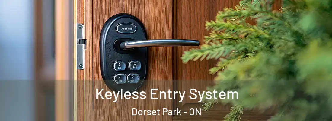  Keyless Entry System Dorset Park - ON